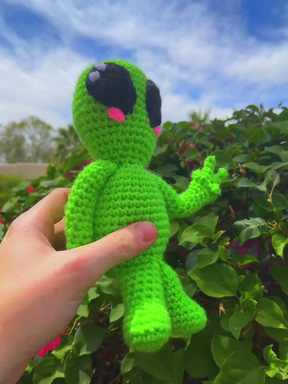 Peaceful Visitor Crochet Pattern